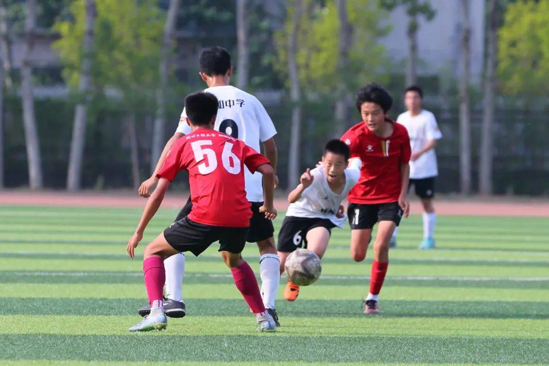 你将获得什